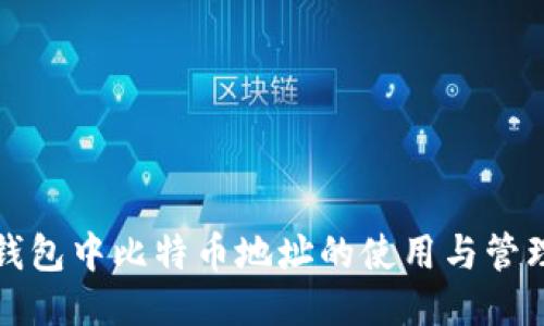 比特派钱包中比特币地址的使用与管理全攻略