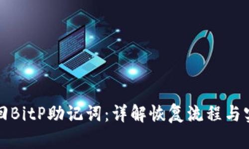 如何找回BitP助记词：详解恢复流程与实用技巧