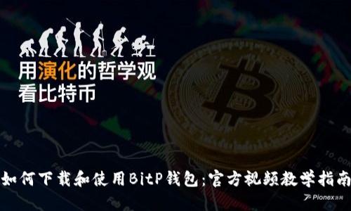 如何下载和使用BitP钱包：官方视频教学指南