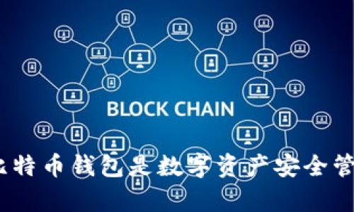  为什么拥有比特币钱包是数字资产安全管理的必备之选