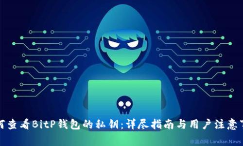 如何查看BitP钱包的私钥：详尽指南与用户注意事项