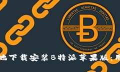 如何快速安全地下载安装