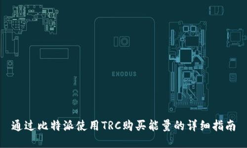 通过比特派使用TRC购买能量的详细指南