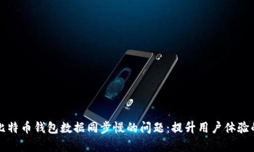 如何解决比特币钱包数据同步慢的问题：提升用户体验的有效方法