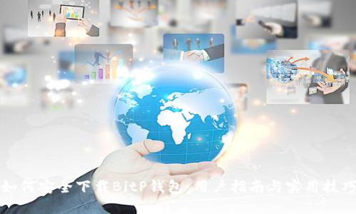 如何安全下载BitP钱包：用户指南与实用技巧