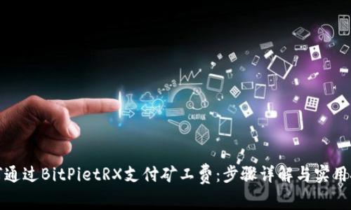 如何通过BitPietRX支付矿工费：步骤详解与实用技巧