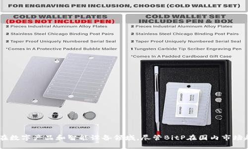 BitP是一个源自中国的品牌，主要专注于电子产品和技术的研发与销售。这个品牌在市场上逐渐获得了认可，尤其是在数字产品和智能设备领域。尽管BitP在国内市场起步，但随着全球电子市场的扩展，它也逐渐向国际市场迈进。在产品质量和技术创新方面，BitP力图与国际品牌竞争。