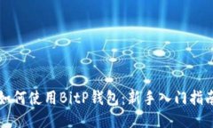 如何使用BitP钱包：新手入