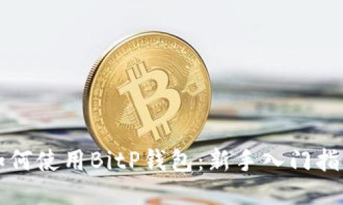 如何使用BitP钱包：新手入门指南