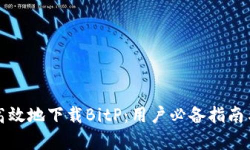 如何安全高效地下载BitP：用户必备指南与收益分析