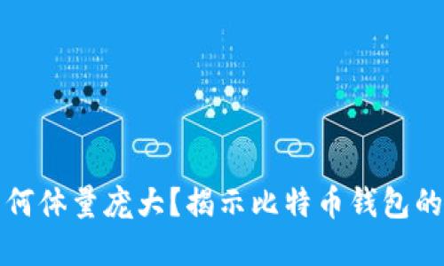 比特币官方钱包为何体量庞大？揭示比特币钱包的重要性与使用价值