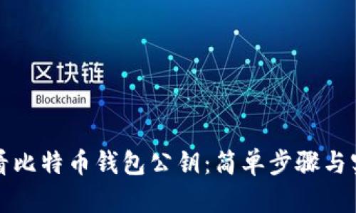 如何查看比特币钱包公钥：简单步骤与实用技巧