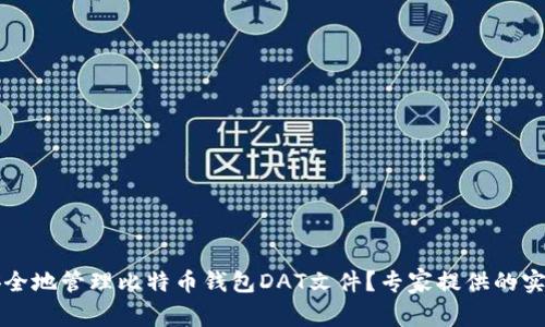如何安全地管理比特币钱包DAT文件？专家提供的实用指南