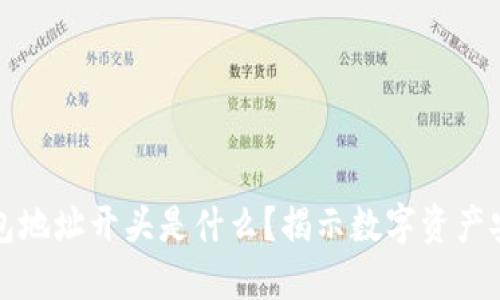 比特派钱包地址开头是什么？揭示数字资产安全的秘密