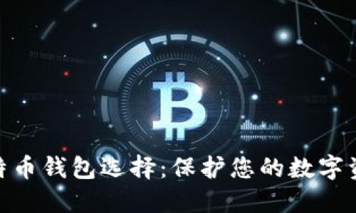 最安全的比特币钱包选择：保护您的数字资产不受威胁