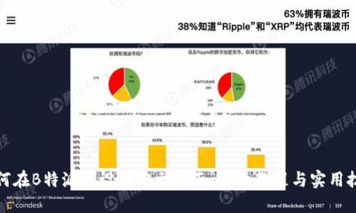 如何在B特派中设置中文界面：详细教程与实用技巧