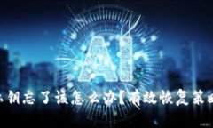 Bitpie私钥忘了该怎么办？