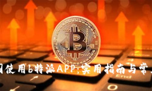 如何在中国使用b特派APP：实用指南与常见问题解答