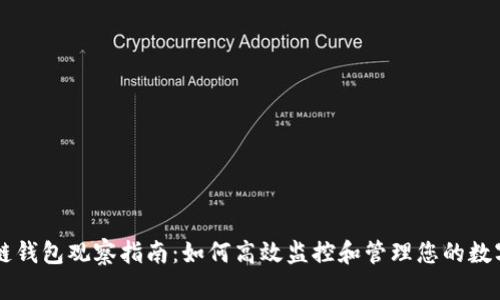区块链钱包观察指南:如何高效监控和管理您的数字资产