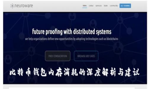 比特币钱包内存消耗的深度解析与建议