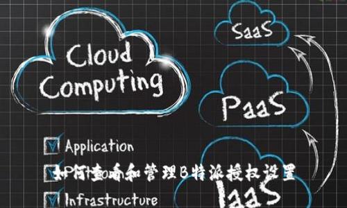 如何查看和管理B特派授权设置