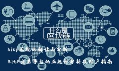 bitp正规的解读与分析Bit