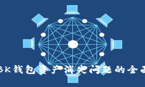 解决BK钱包资产消失问题的全面指南