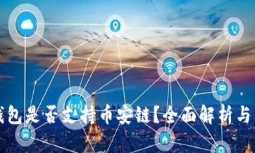 比特币钱包是否支持币安链？全面解析与用户指南