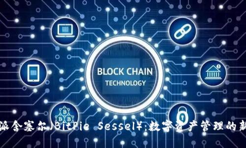 比特派舍塞尔（BitPie Sessel）：数字资产管理的新时代
