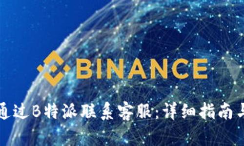 如何通过B特派联系客服：详细指南与技巧