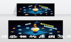 B特派KYC暂停验证的原因及