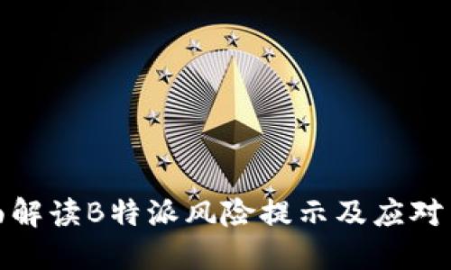 全面解读B特派风险提示及应对策略