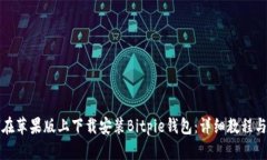 如何在苹果版上下载安装