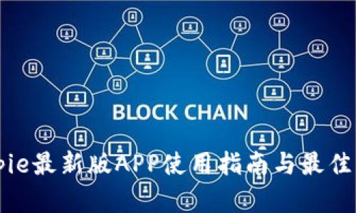 Bitpie最新版APP使用指南与最佳实践