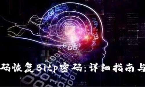 如何通过二维码恢复Bitp密码：详细指南与常见问题解答
