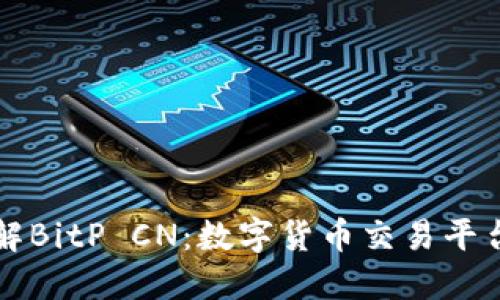 深入了解BitP CN：数字货币交易平台的未来