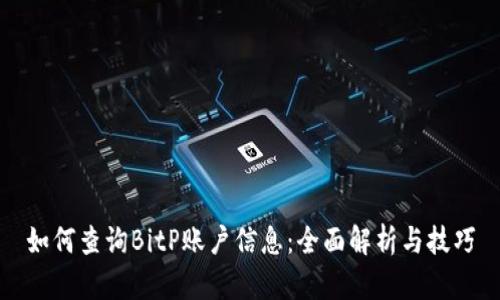 如何查询BitP账户信息：全面解析与技巧
