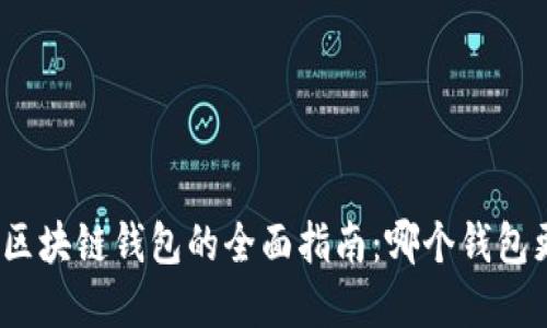 选择最佳区块链钱包的全面指南：哪个钱包更适合你？