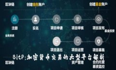 BitP：加密货币交易的大型