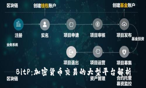 BitP：加密货币交易的大型平台解析