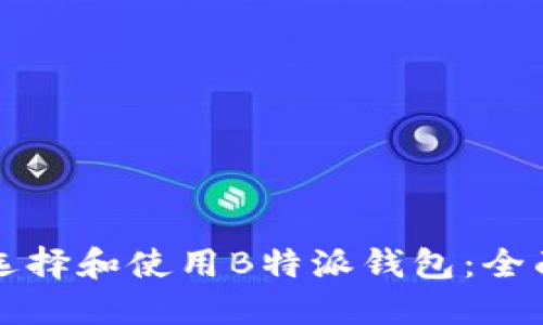 如何选择和使用B特派钱包：全面指南
