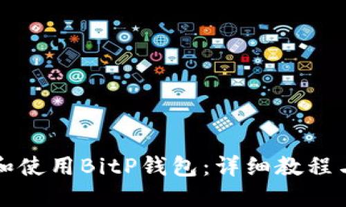 如何下载和使用BitP钱包：详细教程与视频指导