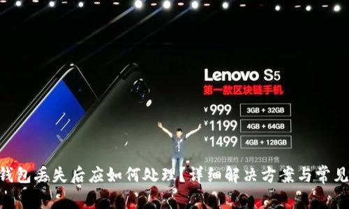 当B特派钱包丢失后应如何处理？详细解决方案与常见问题解析