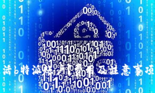 如何激活b特派账户？费用及注意事项全解析