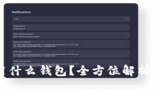 长期存比特币用什么钱包？全方位解析比特币存储方式