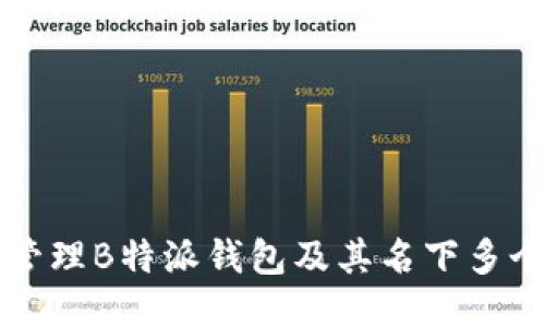 如何管理B特派钱包及其名下多个账户