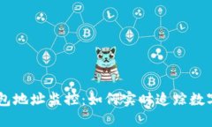 虚拟币钱包地址监控：如