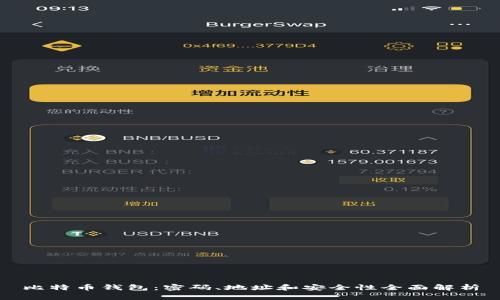 比特币钱包：密码、地址和安全性全面解析