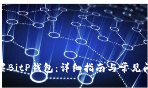 如何设置BitP钱包：详细指南与常见问题解答