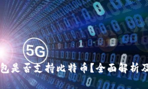 Steam钱包是否支持比特币？全面解析及使用指南